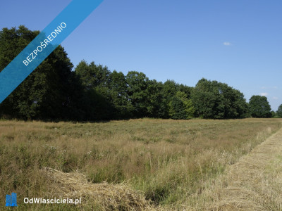 Skoczów Ochaby 57ar pod lasem widokowa pod rekreacje  -    -
śląskie Zdjęcie nr 7