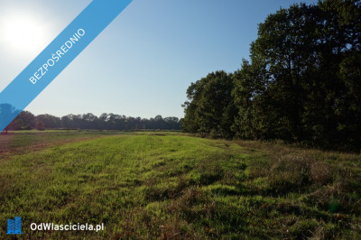 Skoczów Ochaby 57ar pod lasem widokowa pod rekreacje rolna  -    -
śląskie