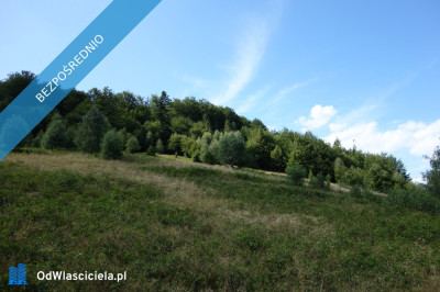 Brenna 253 ha działka inwestycyjna blisko wyciągu -    -
małopolskie Zdjęcie nr 5