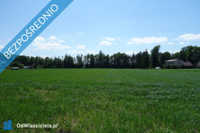 Skoczów Ochaby 32 ha z częścią budowlaną i pod usługi -    -
śląskie Zdjęcie nr 2