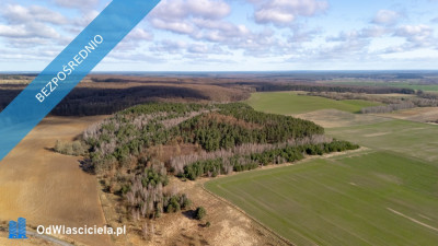 Działka na wzniesieniu z widokiem przy lecie 15 min od Szczecina - Kijewo   -
zachodniopomorskie Zdjęcie nr 3