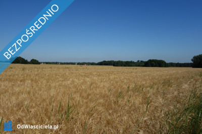 Skoczów Pruchna 115ha z prawem zabudowy bdblokalizacja w samym centrum -    -
śląskie