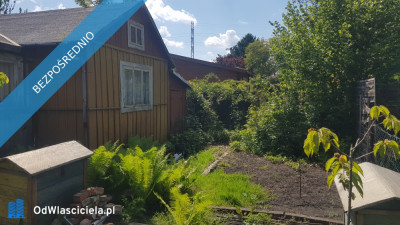 Działka rekreacyjna ROD RAi z domkiem - Targówek   -
mazowieckie Zdjęcie nr 13