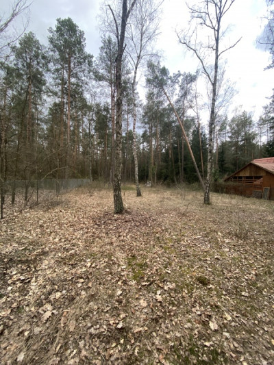 Działka  budowlana Radzymin ulRzeczna -    -
mazowieckie Zdjęcie nr 8
