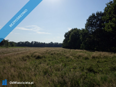 Skoczów Ochaby 62ar działka pod lasem pod rekreacje i staw -    -
śląskie Zdjęcie nr 3