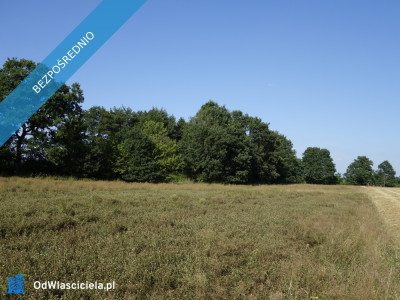 Skoczów Ochaby 62ar działka pod lasem pod rekreacje i staw -    -
śląskie Zdjęcie nr 4