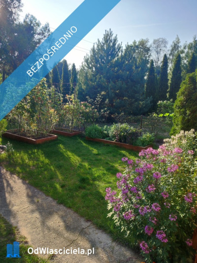 Działka ROD Zagaje w Grodzisku Maz  -    -
mazowieckie Zdjęcie nr 2
