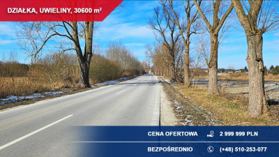 Działka budowlana 3ha Uwieliny gm Prażmów z MPZP -    -
mazowieckie Zdjęcie nr 9