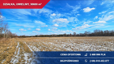 Działka budowlana 3ha Uwieliny gm Prażmów z MPZP -    -
mazowieckie Zdjęcie nr 5