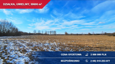 Działka budowlana 3ha Uwieliny gm Prażmów z MPZP -    -
mazowieckie Zdjęcie nr 6