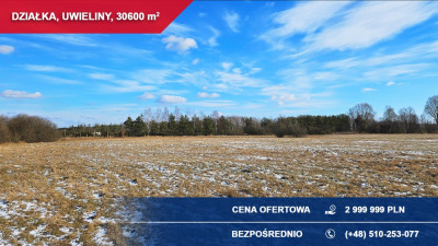 Działka budowlana 3ha Uwieliny gm Prażmów z MPZP -    -
mazowieckie Zdjęcie nr 8