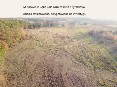 Grunt 6ha  Działka budowlana- usługowa  Gąba  Mszczonów  Żyrardów - Wilanów   -
mazowieckie Zdjęcie nr 6