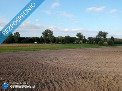 Działki rolne w miejscowości Nojewo - gmina Pniewy -    -
wielkopolskie Zdjęcie nr 9