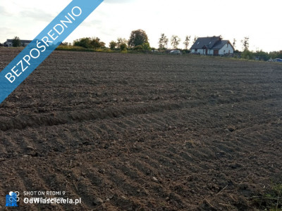 Działki rolne w miejscowości Nojewo - gmina Pniewy -    -
wielkopolskie Zdjęcie nr 10