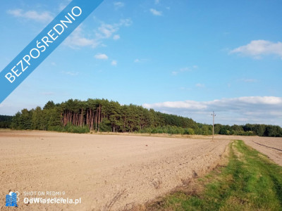 Działki rolne w miejscowości Nojewo - gmina Pniewy -    -
wielkopolskie Zdjęcie nr 2