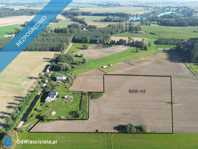 Działki rolne w miejscowości Nojewo - gmina Pniewy -    -
wielkopolskie Zdjęcie nr 6