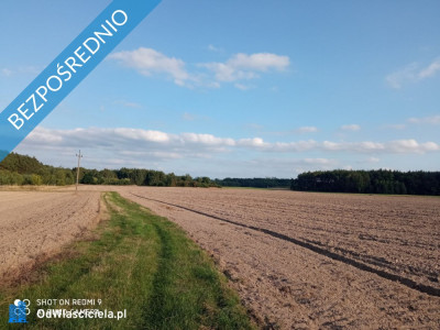 Działki rolne w miejscowości Nojewo - gmina Pniewy -    -
wielkopolskie Zdjęcie nr 7