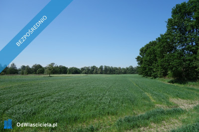 Skoczów Ochaby 62 ar pod lasem nadaje sie pod altanke domek  -    -
śląskie Zdjęcie nr 2