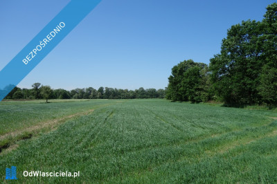 Skoczów Ochaby 62 ar pod lasem nadaje sie pod altanke domek  -    -
śląskie Zdjęcie nr 3