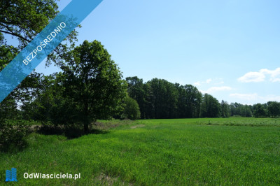 Skoczów Ochaby 62 ar pod lasem nadaje sie pod altanke domek  -    -
śląskie Zdjęcie nr 5
