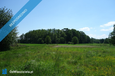 Skoczów Ochaby 62 ar pod lasem nadaje sie pod altanke domek  -    -
śląskie Zdjęcie nr 6