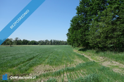 Skoczów Ochaby 62 ar pod lasem nadaje sie pod altanke domek  -    -
śląskie Zdjęcie nr 7