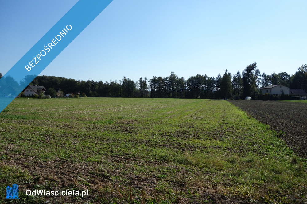 Skoczów Ochaby 162ha z prawem zabudowy pod stadnine agroturystyke -    -
śląskie Zdjęcie nr 1