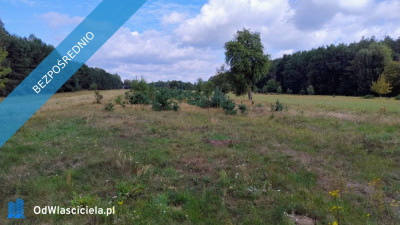 Działka siedliskowa na sprzedaż - 17 ha -    -
mazowieckie Zdjęcie nr 3