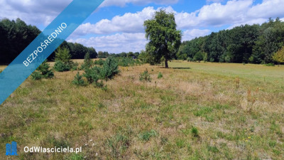 Działka siedliskowa na sprzedaż - 17 ha -    -
mazowieckie Zdjęcie nr 5