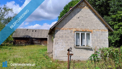 Działka siedliskowa na sprzedaż - 17 ha -    -
mazowieckie Zdjęcie nr 7