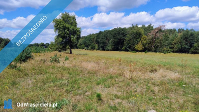 Działka siedliskowa na sprzedaż - 17 ha -    -
mazowieckie Zdjęcie nr 8