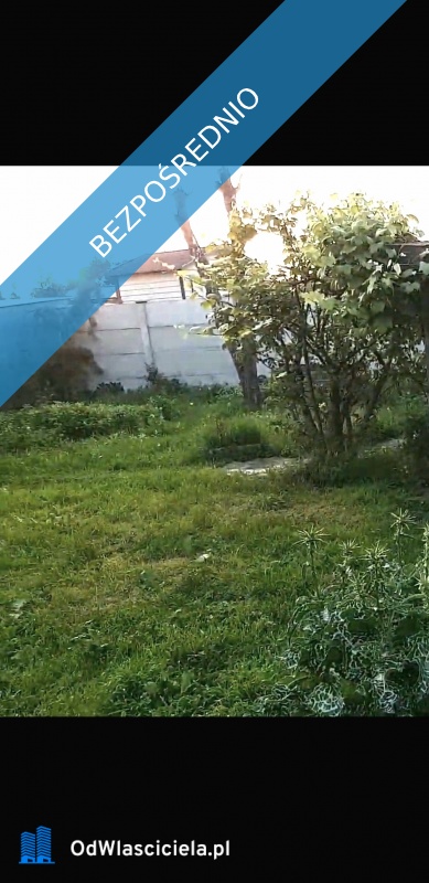 Działka 320 m2 Stowarzyszenie Ogrodowe Kajka  - Nowe Miasto   -
wielkopolskie Zdjęcie nr 1