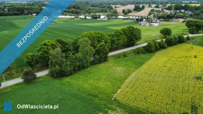 BEZ POŚREDNIKA  Działka budowlana 2604 m w Pielgrzymowicach ul Jastrzębska gmina Pawłowice woj śląskie -    -
śląskie Zdjęcie nr 9