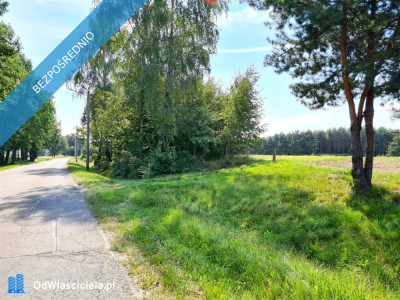 BEZ POŚREDNIKA  Działka budowlana 2604 m w Pielgrzymowicach ul Jastrzębska gmina Pawłowice woj śląskie -    -
śląskie Zdjęcie nr 12