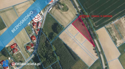BEZ POŚREDNIKA  Działka budowlana 2604 m w Pielgrzymowicach ul Jastrzębska gmina Pawłowice woj śląskie -    -
śląskie Zdjęcie nr 3