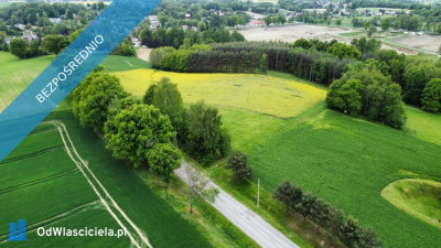 BEZ POŚREDNIKA  Działka budowlana 2604 m w Pielgrzymowicach ul Jastrzębska gmina Pawłowice woj śląskie -    -
śląskie Zdjęcie nr 7