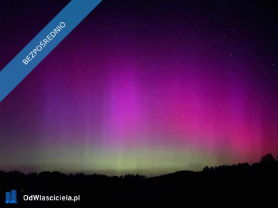 Malownicze Rancho koło Mrągowa - gotowy model biznesowy -    -
warmińsko-mazurskie Zdjęcie nr 17