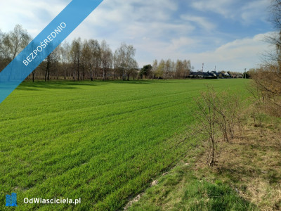 Działka budowlana ze stawem - Górna   -
łódzkie Zdjęcie nr 5