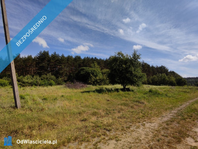 Działka 1094m2  w odl 600 m od jez Żalskiego Dużego -    -
kujawsko-pomorskie Zdjęcie nr 10