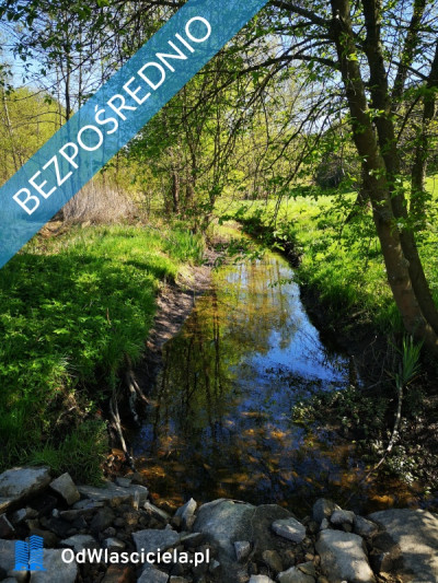 Działka 1094m2  w odl 600 m od jez Żalskiego Dużego -    -
kujawsko-pomorskie Zdjęcie nr 7