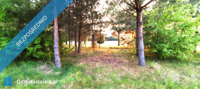 Atrakcyjna działka nad zalewem Siemianówka -    -
podlaskie Zdjęcie nr 2