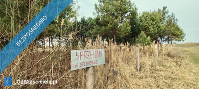 Atrakcyjna działka nad zalewem Siemianówka -    -
podlaskie Zdjęcie nr 5