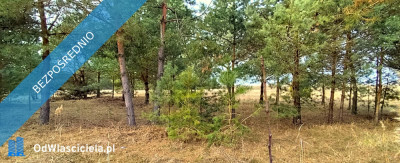 Atrakcyjna działka nad zalewem Siemianówka -    -
podlaskie Zdjęcie nr 7