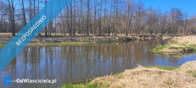 Działka 2000m nad Wkrą powiat Płoński w Jędrzejewo -    -
mazowieckie Zdjęcie nr 4