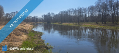 Działka 2000m nad Wkrą powiat Płoński w Jędrzejewo -    -
mazowieckie Zdjęcie nr 5