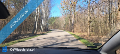 Działka 2000m nad Wkrą powiat Płoński w Jędrzejewo -    -
mazowieckie Zdjęcie nr 6