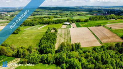 Działka Budowlana z własnym lasem i strumykiem 63 ary -    -
podkarpackie Zdjęcie nr 10