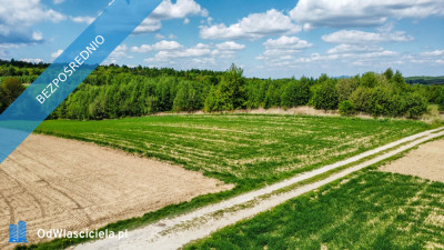 Działka Budowlana z własnym lasem i strumykiem 63 ary -    -
podkarpackie Zdjęcie nr 3