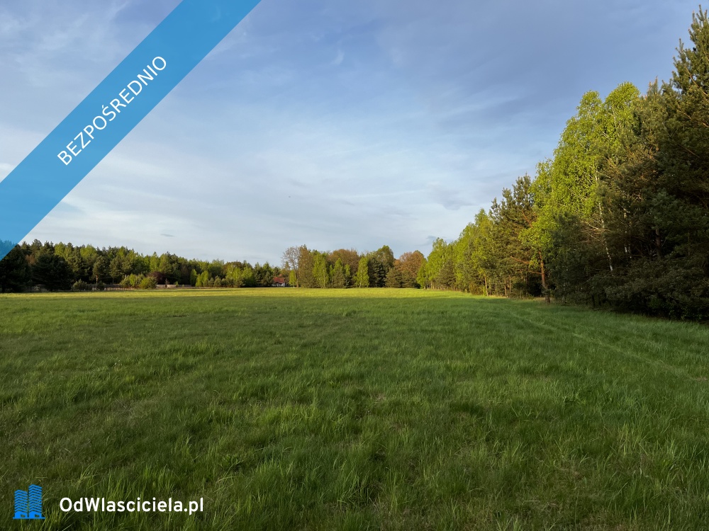 działki budowlane posiadają MPZP -    -
mazowieckie Zdjęcie nr 1