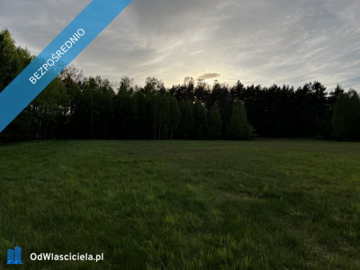 działki budowlane posiadają MPZP -    -
mazowieckie Zdjęcie nr 4